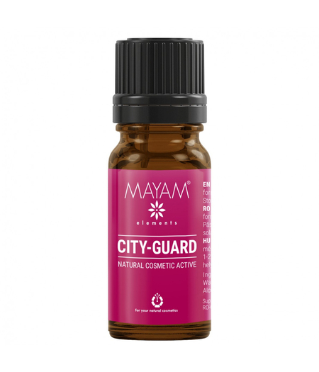 city guard